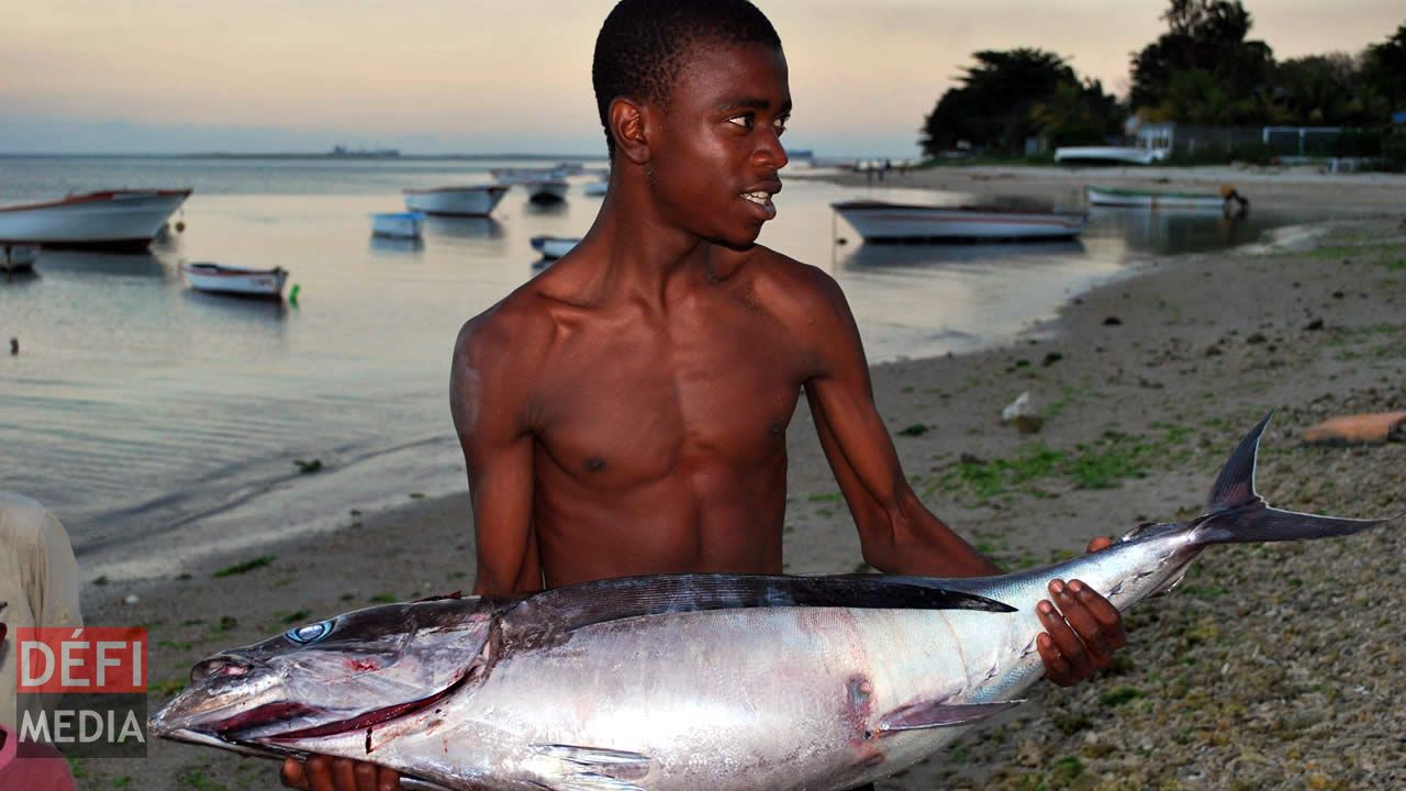 La moisson a été bonne. pêcheur