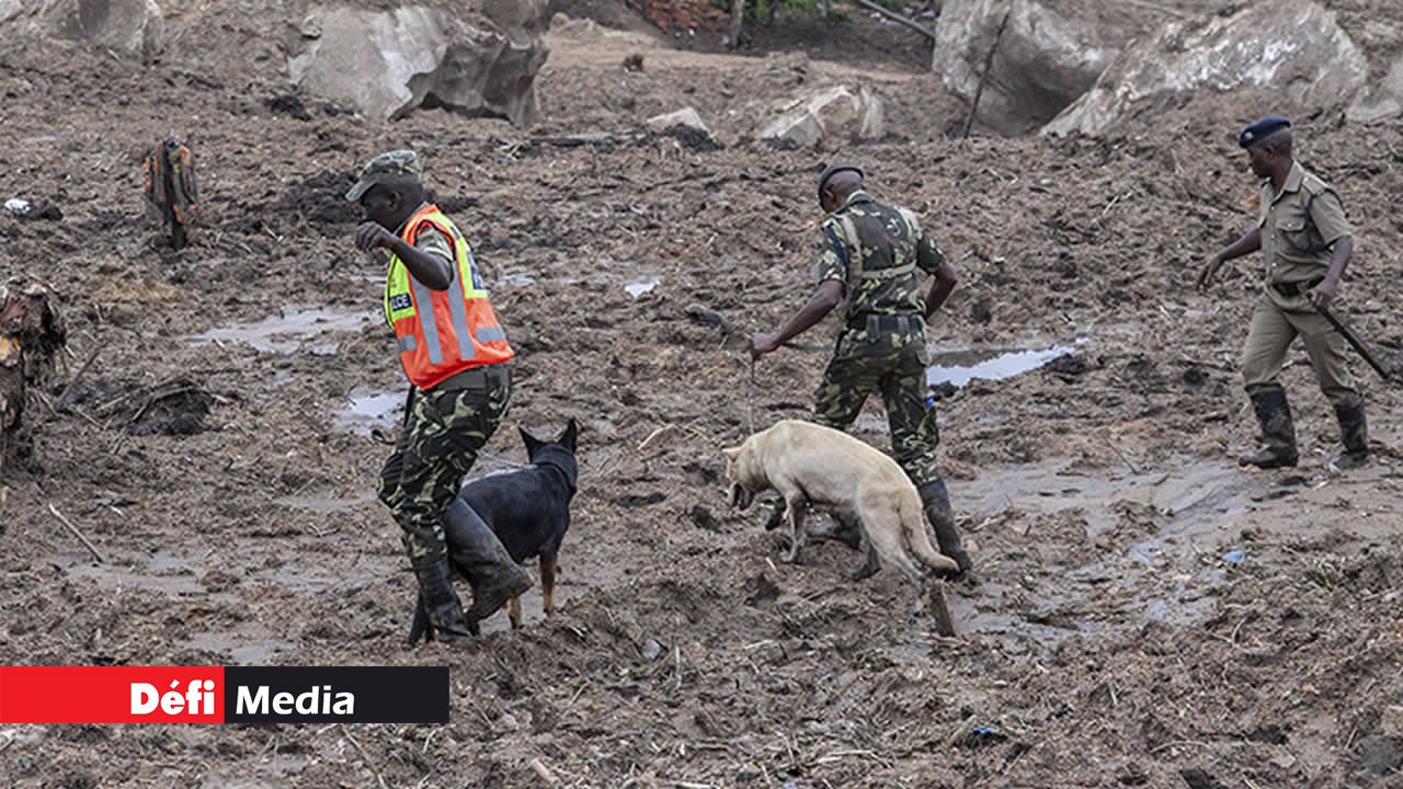 Des policiers malawites avec leurs chiens renifleurs cherchent des corps ensevelis suivant un glissement de terrain.