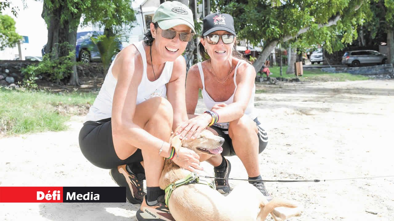 L’un des objectifs de Belinda Du Preez et Mandy Martin est de combattre la maltraitance des animaux.