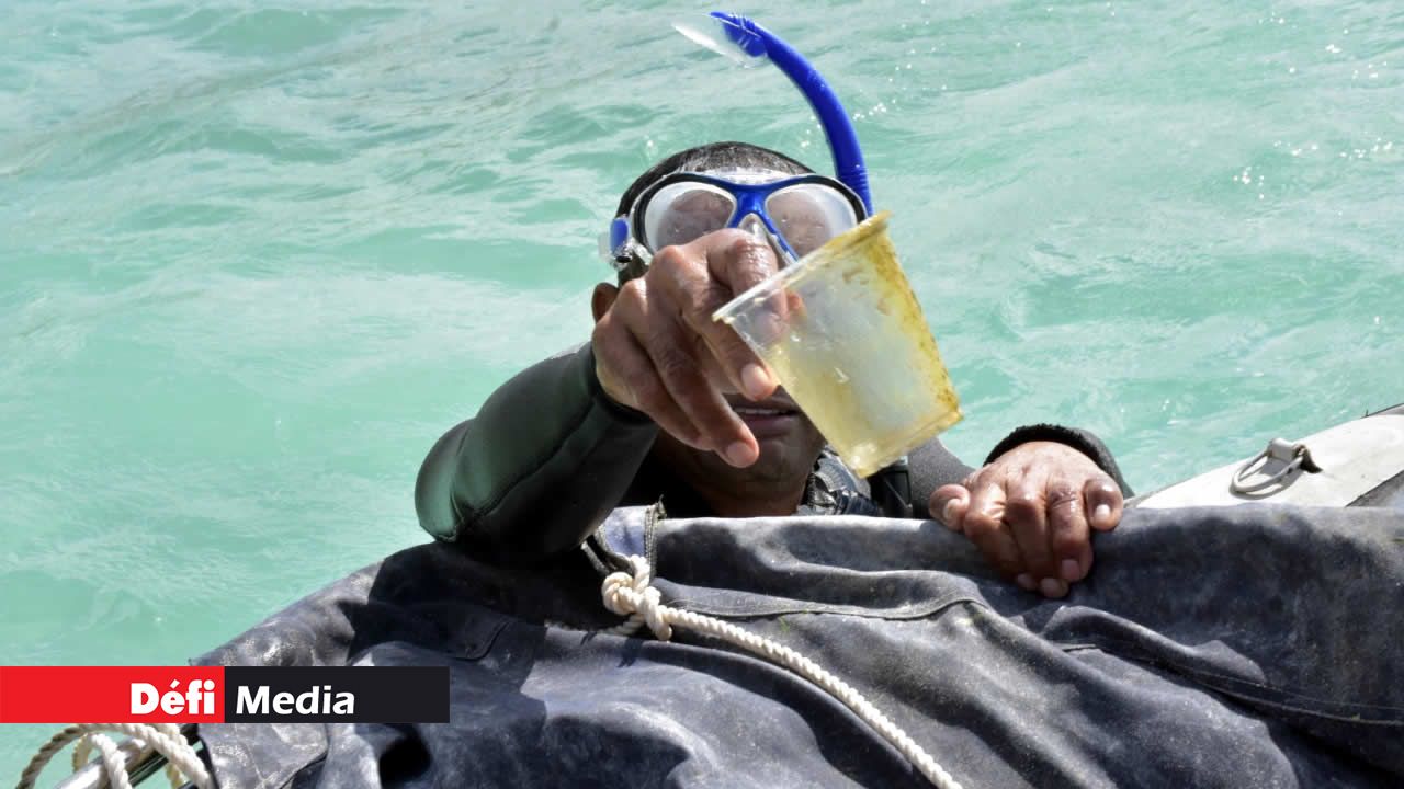 Défi Vert-Plein Air