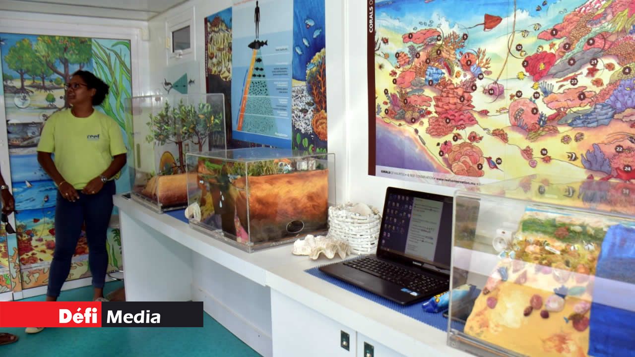 Défi Vert-Plein Air