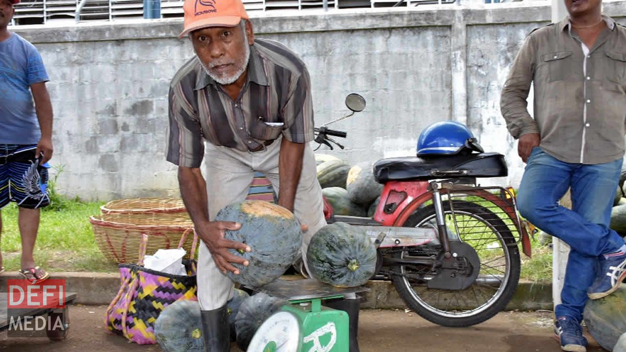 Bardwaj Luckeeram, connu comme ‘Cerf’, pesant des citrouilles. Vente à l’encan à Flacq