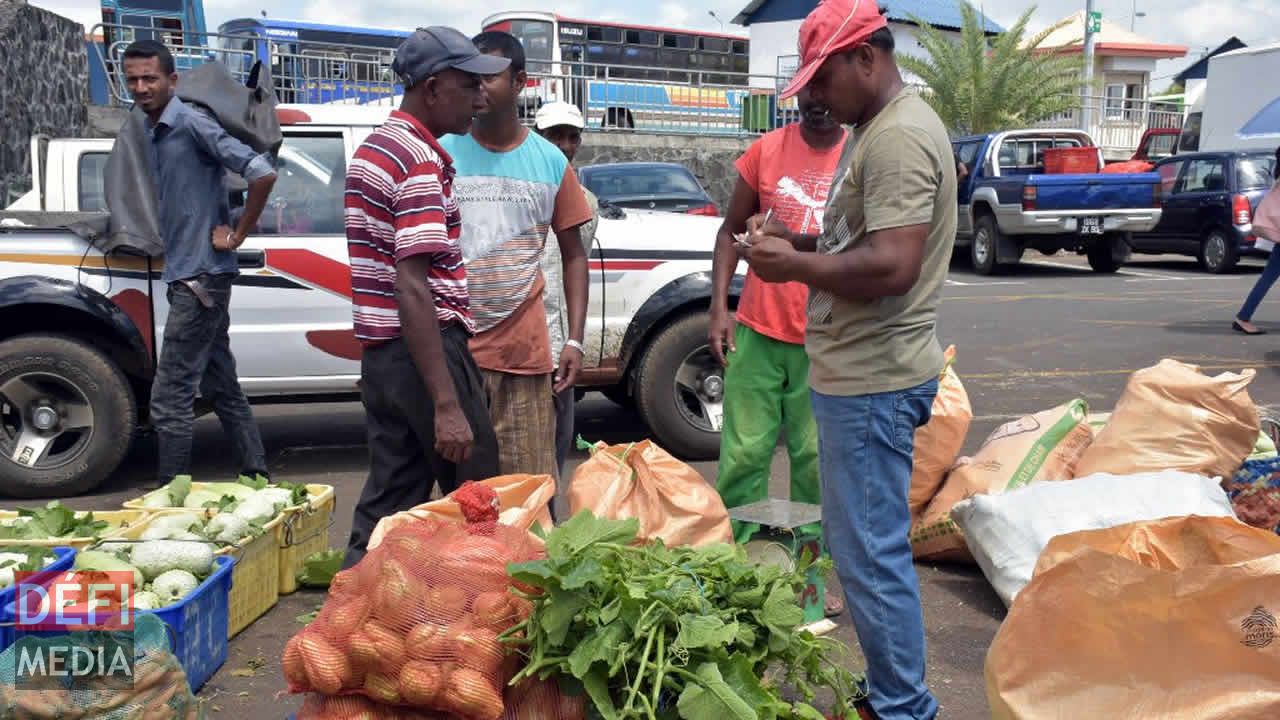 Ambiance lors de la vente à l’encan. Vente à l’encan à Flacq