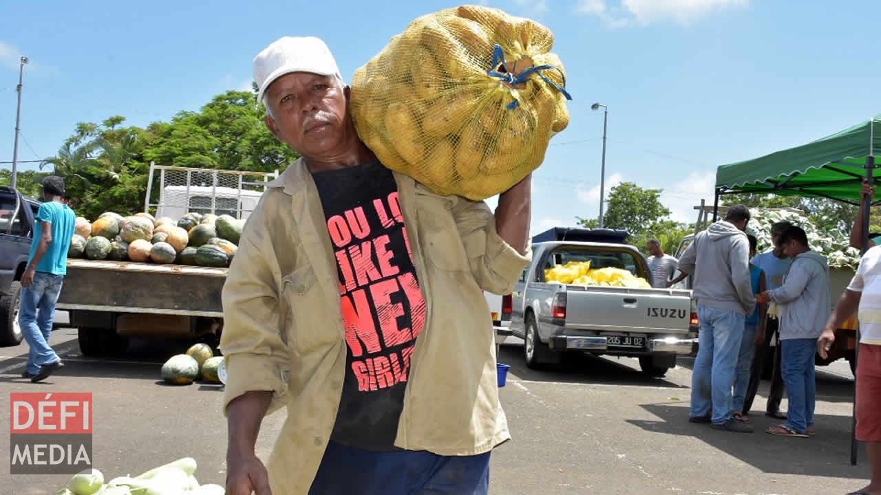 Suresh, le porteur, transportant les légumes sur son épaule. Vente à l’encan à Flacq