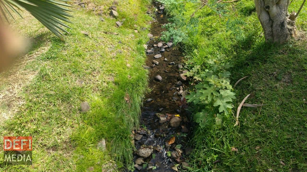 Le ruisseau pérenne coulant le long des ruines procurait aux colons de l’eau provenant des montagnes pour les cultures. Le musée Frederik Hendrik