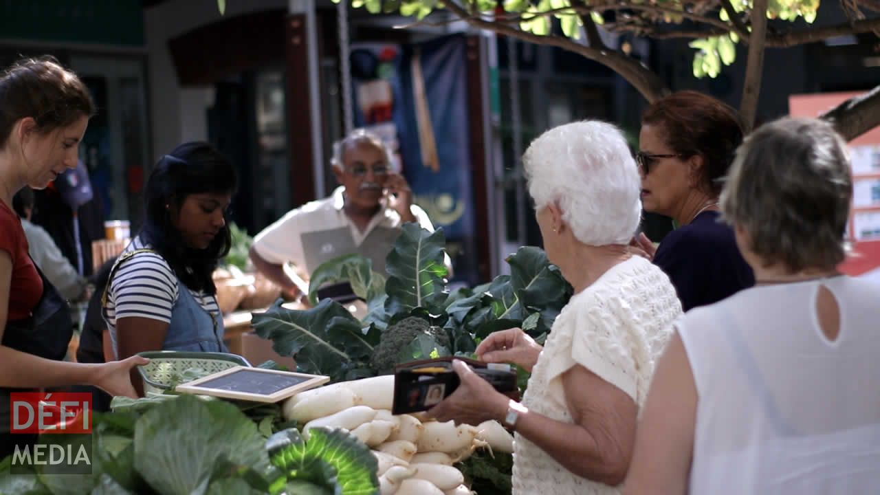 Organic Farmer’s Market