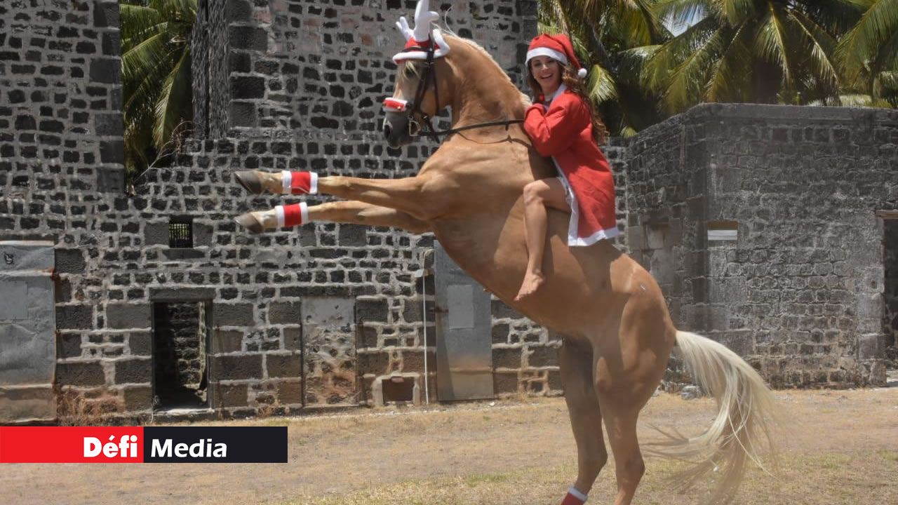 Noémie Barragan joue à Mère Noël avec Vinci, cheval du Maroc.