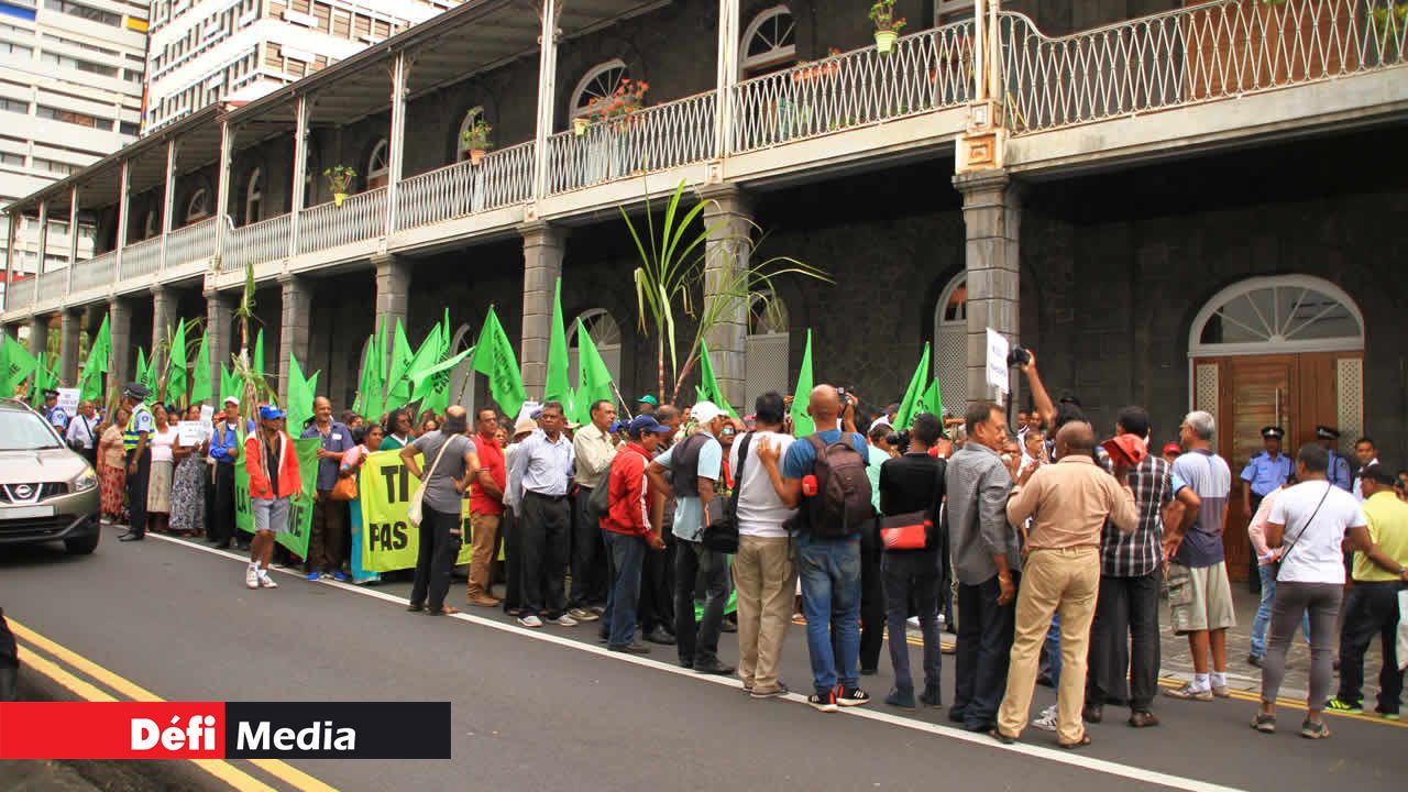 Mouvement Ti-planteurs Cannes