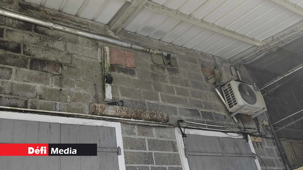 Des installations ont été réalisées de manière aléatoire, sans se soucier du problème potentiel d’attraction de pigeons à l’avenir.