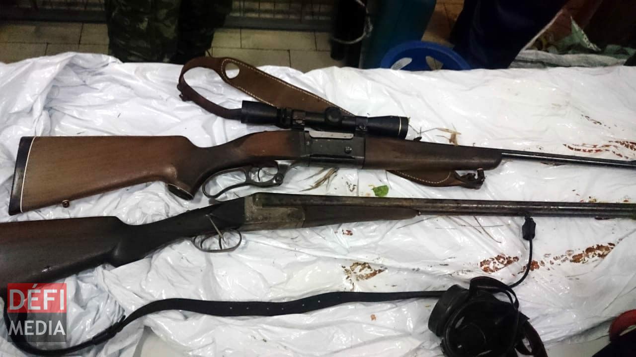 deux fusils et des cartouches de munitions