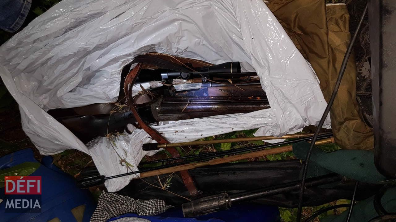 deux fusils et des cartouches de munitions