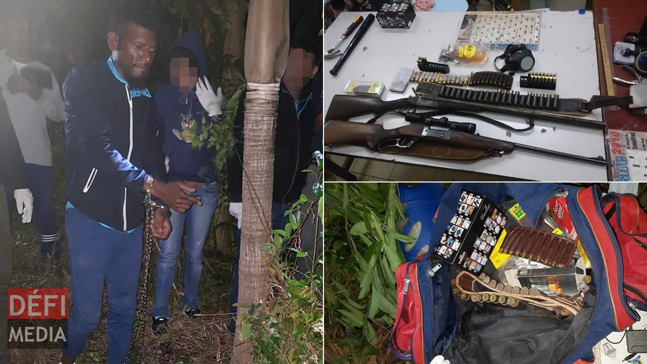 deux fusils et des cartouches de munitions