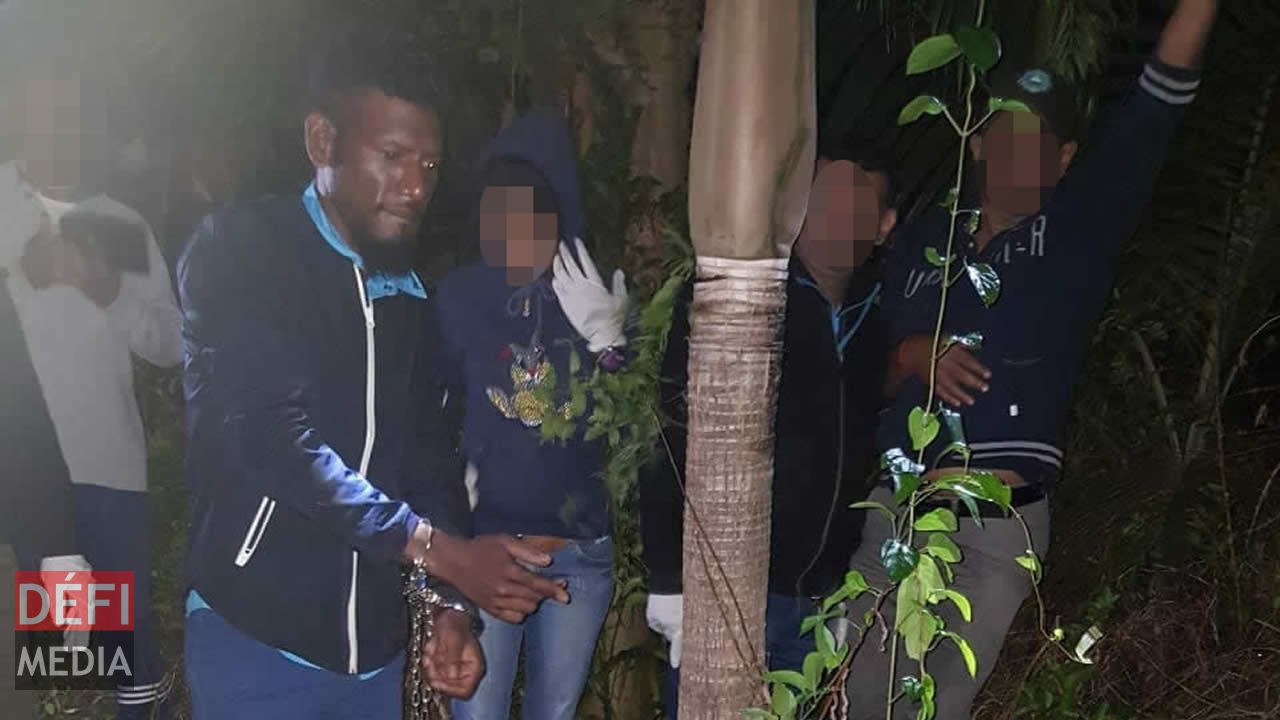 deux fusils et des cartouches de munitions