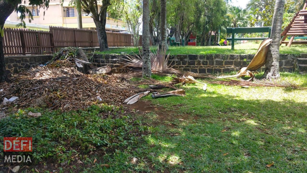 Entassement de feuilles ou de matériaux de construction dans l’enceinte du jardin.