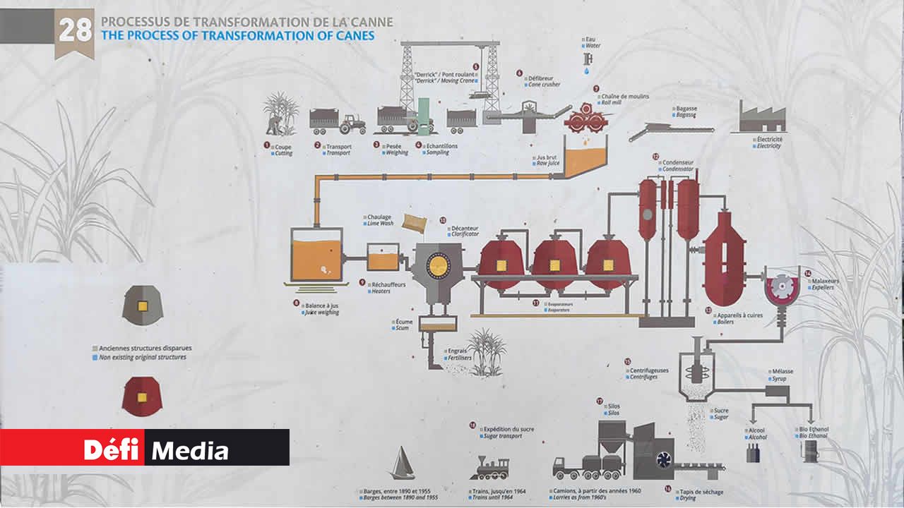 Une vue des étapes à partir des champs de cannes jusqu’à la fabrication finale du sucre de canne.