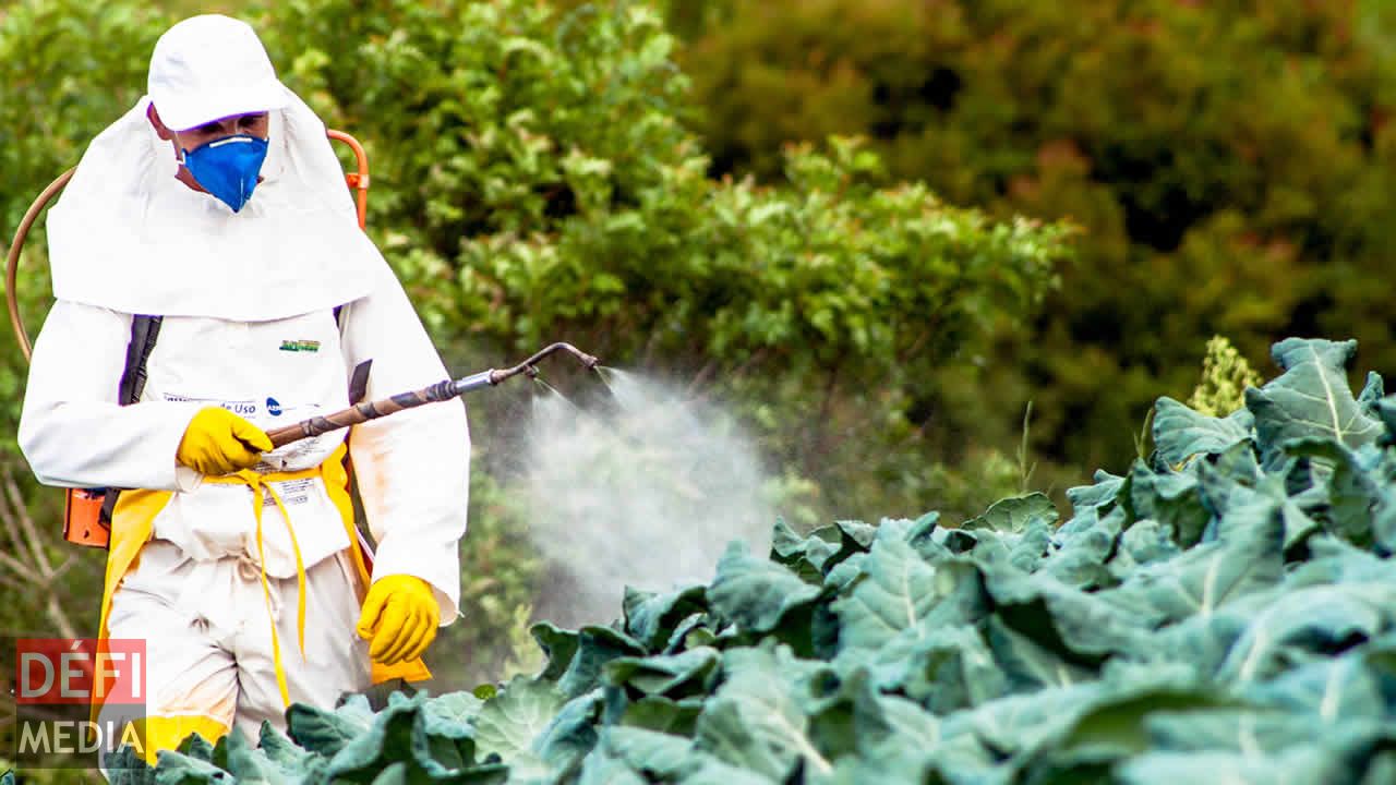 Pesticides