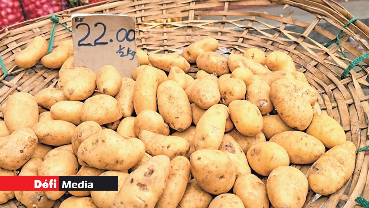 On retrouve une variété de légumes sur les étals.