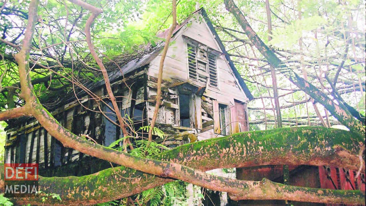 Manager’s House, Île du Coin, Peros Banhos, mai 2005. Dossier Chagos