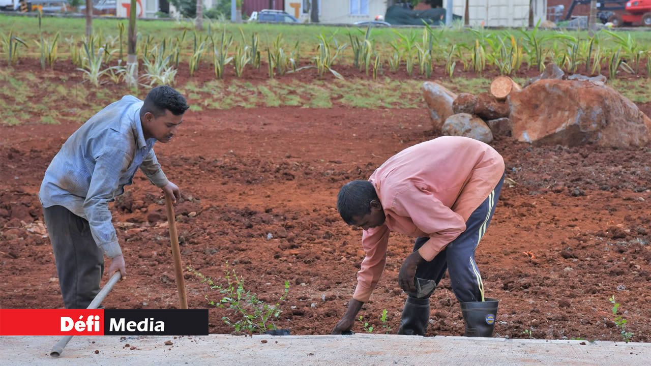 L’embellisement des lieux est en cours.
