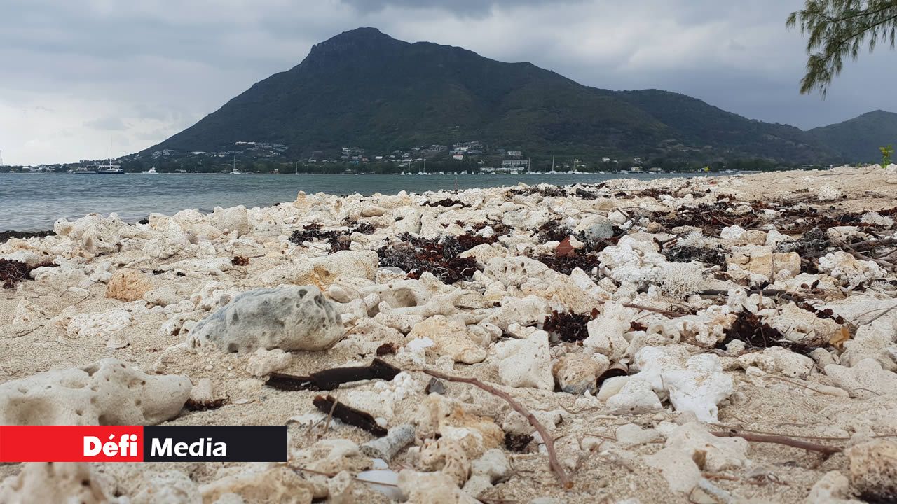 Salines Peninsula