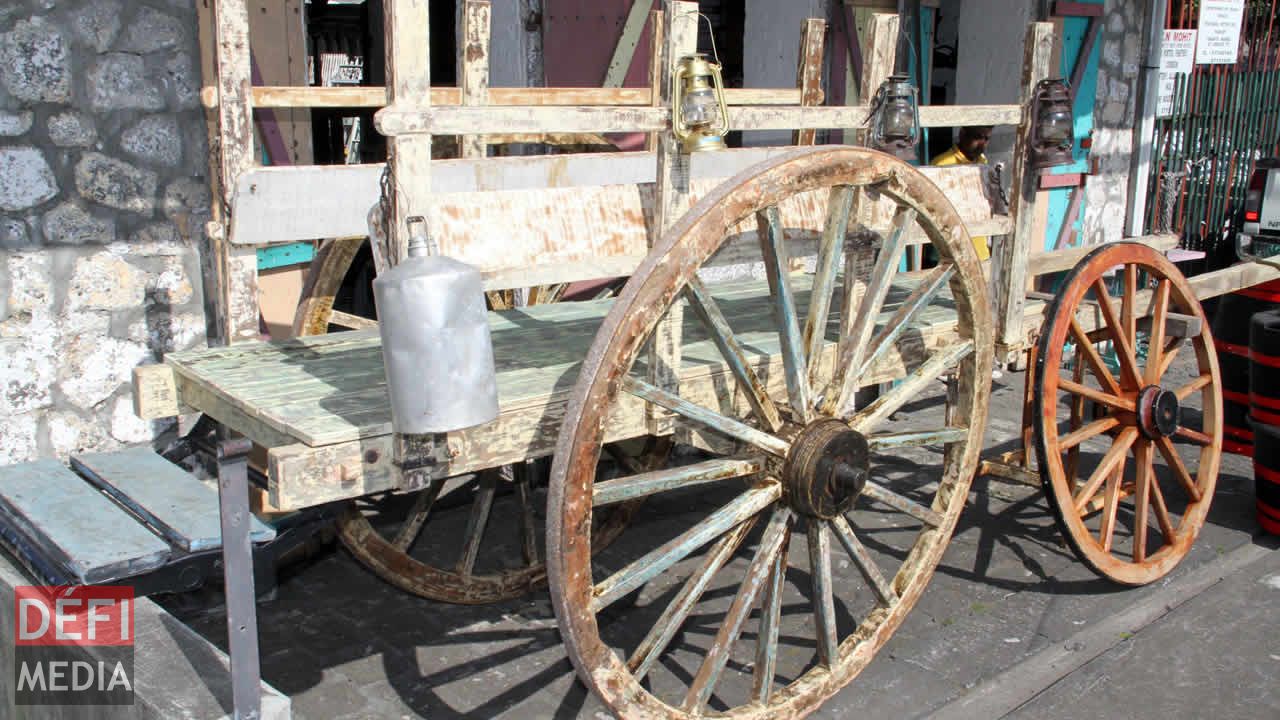 Cette charette qui était tirée par un boeuf servait à transporter les agriculteurs et la canne à sucre. Invitation au voyage dans le passé