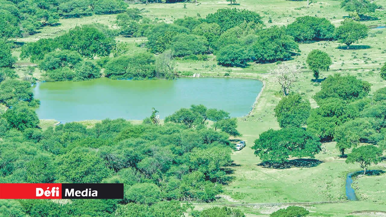 Vue sur le Bassin Lilas dans la réserve de Yemen.