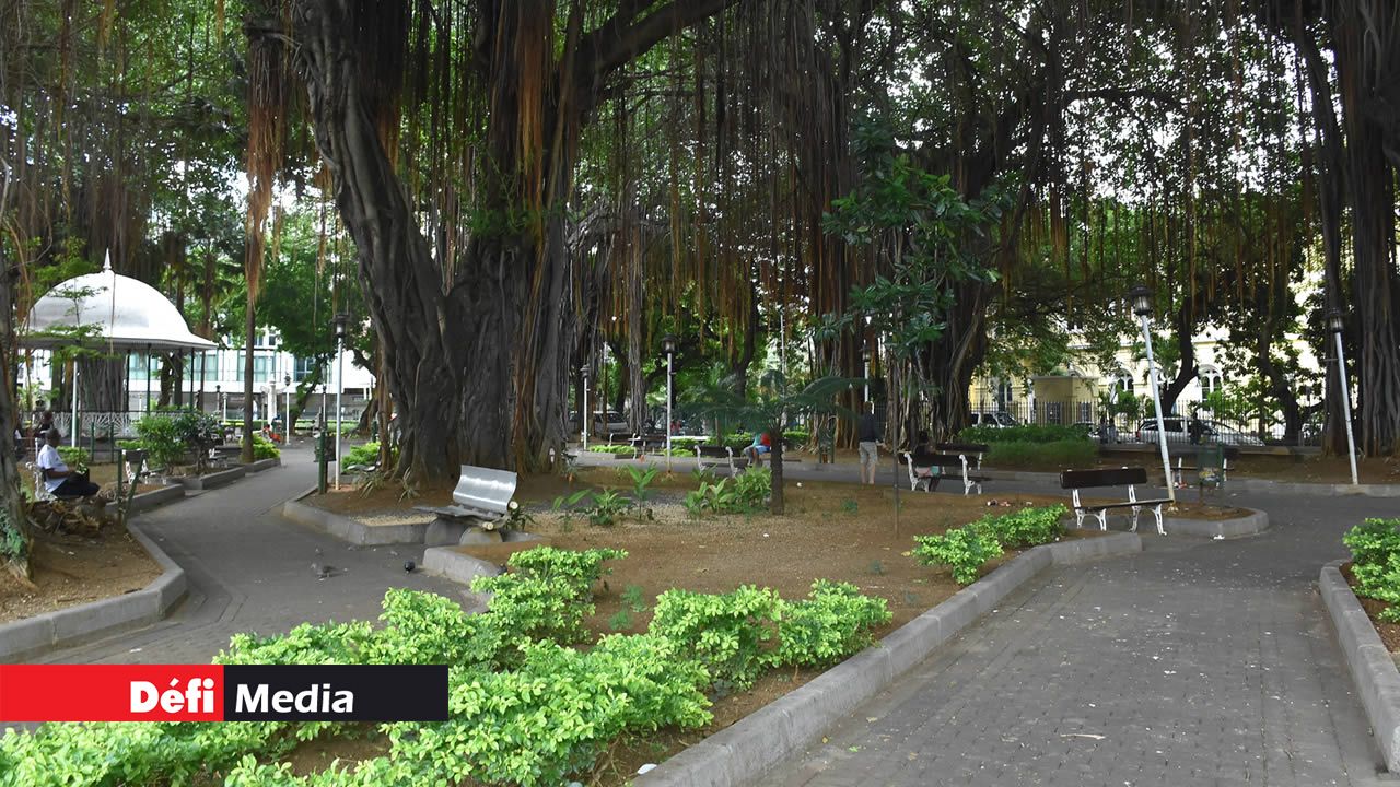 Jardin de la Compagnie à Port-Louis