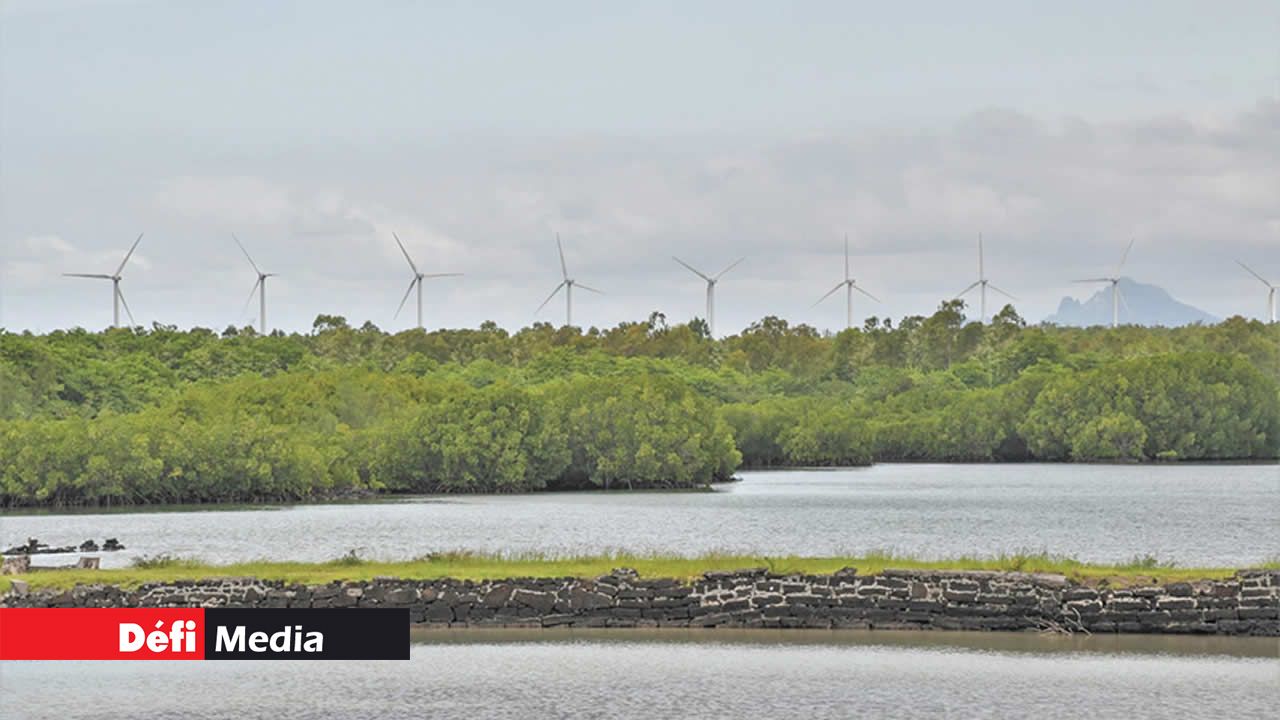 Vue aérienne du barachois.