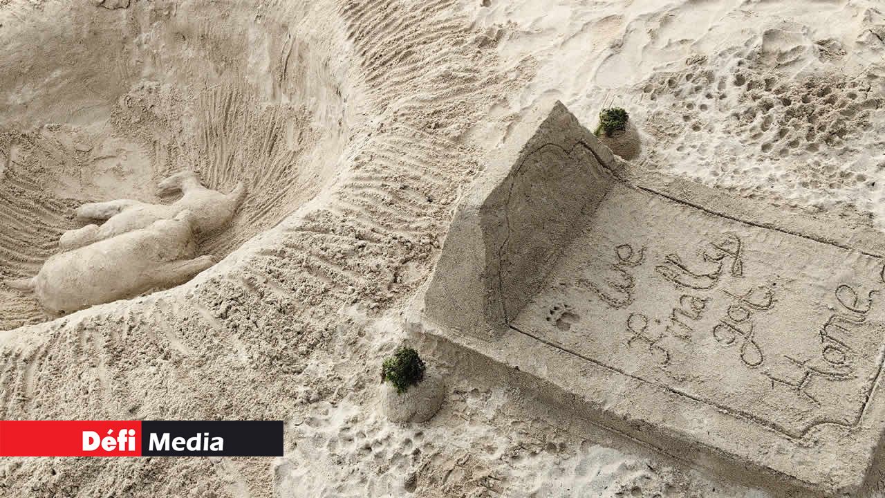 Un travail pour mettre en évidence la cruauté des humains envers les animaux, notamment sur la plage de Flic en Flac où de nombreux chiens ont été retrouvés morts en février 2023.