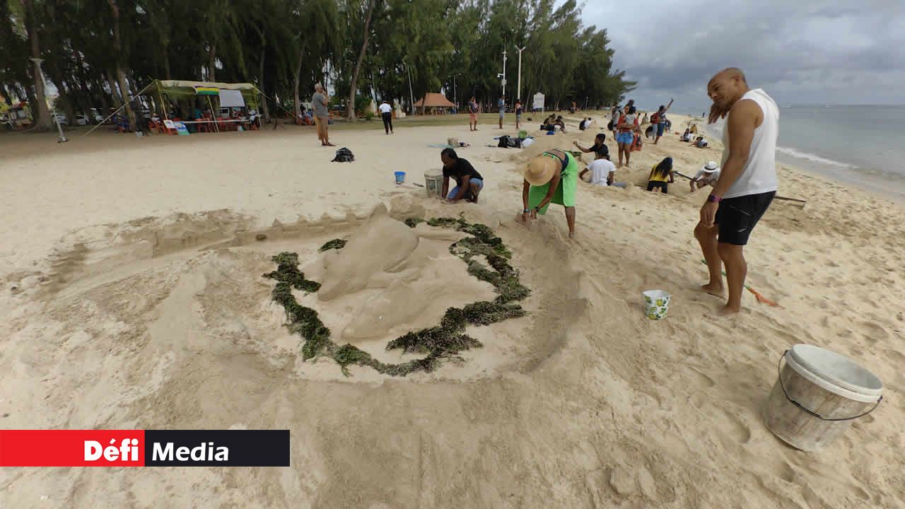 Un dauphin avec son petit dans le lagon et a l’arrière se trouve un château, construit par Rajesh Chamroo, un habitant de Flic-en-Flac.