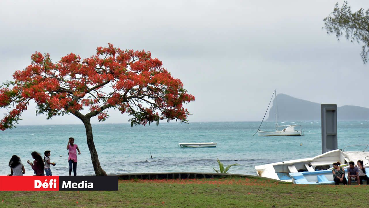 Cap Malheureux : calme plat sous un flamboyant tout de rouge vêtu avec au fond le beau Coin de Mire. Calvinia