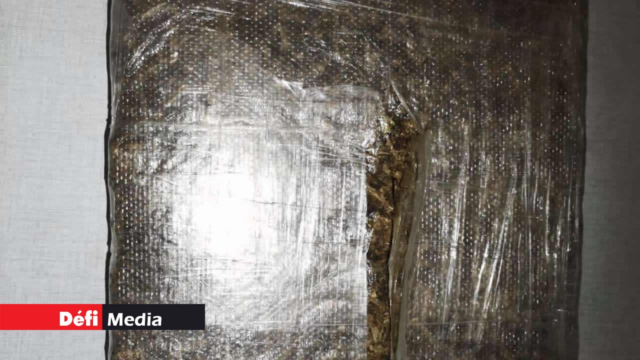 Saisie d’un kilo de cannabis à Roches-Brunes : deux suspects dont un directeur de compagnie arrêtés