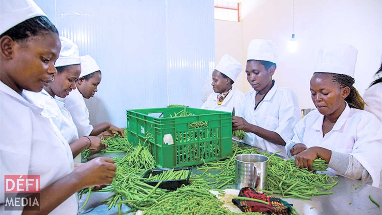 Proxifresh: Mauritian company exports French beans from Rwanda