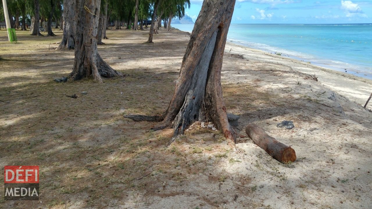 Plages publiques