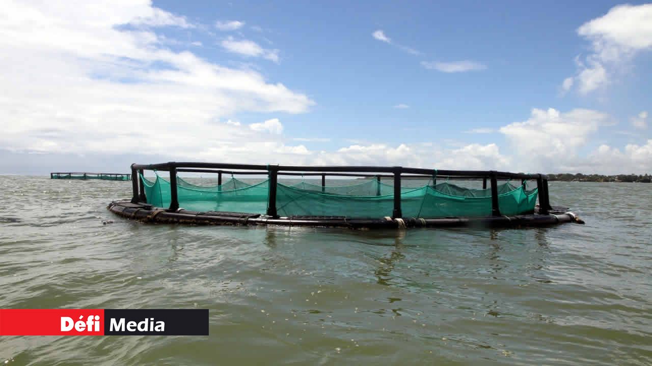 Ferme aquacole