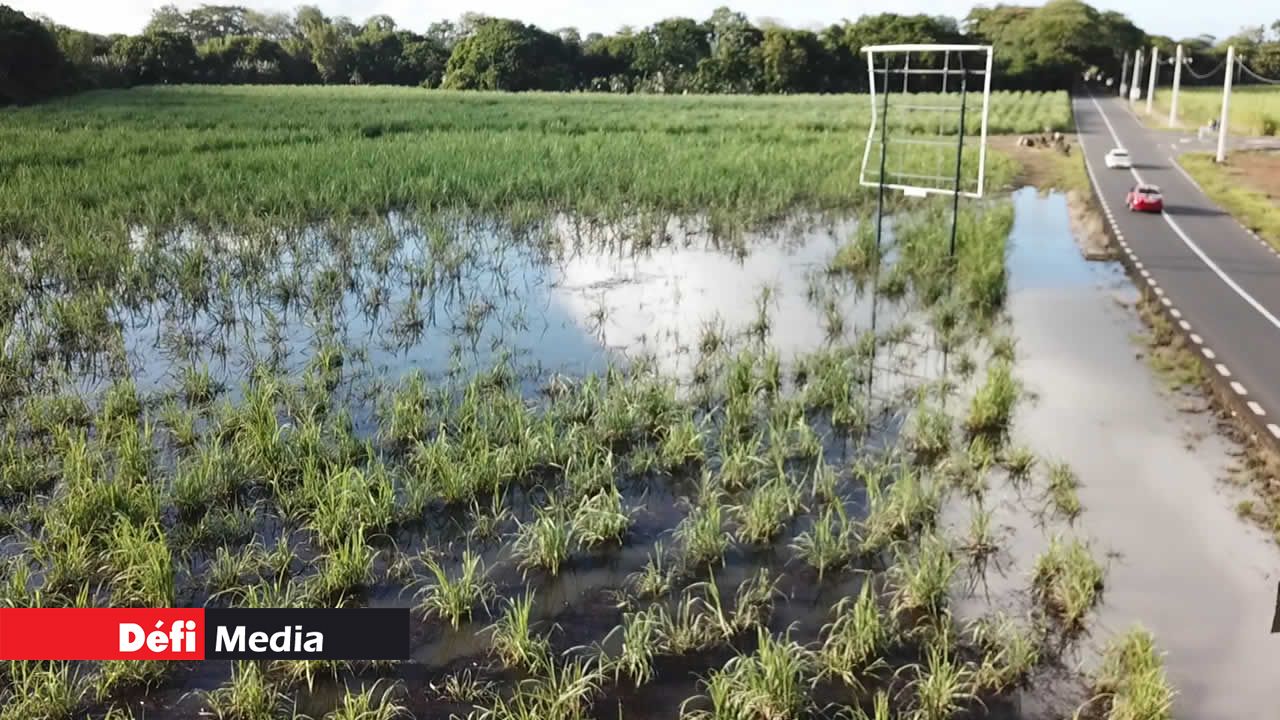 Les fertilisants dans les terres ont éte emportés par l'eau.