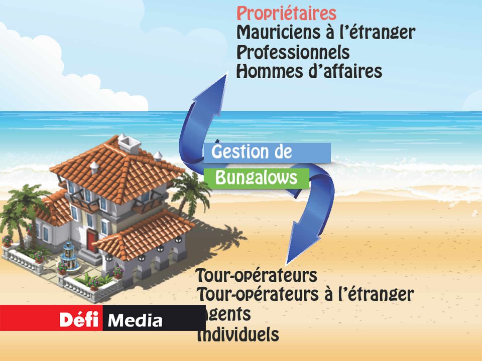 Infographie : Javed Carmally