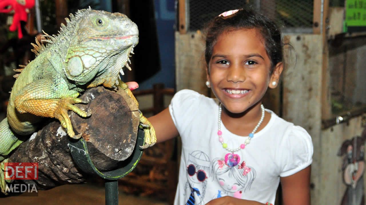 La petite Ansena, 7 ans, n’a pas eu froid aux yeux face à cet iguane au stand de La Vanille Nature Park.