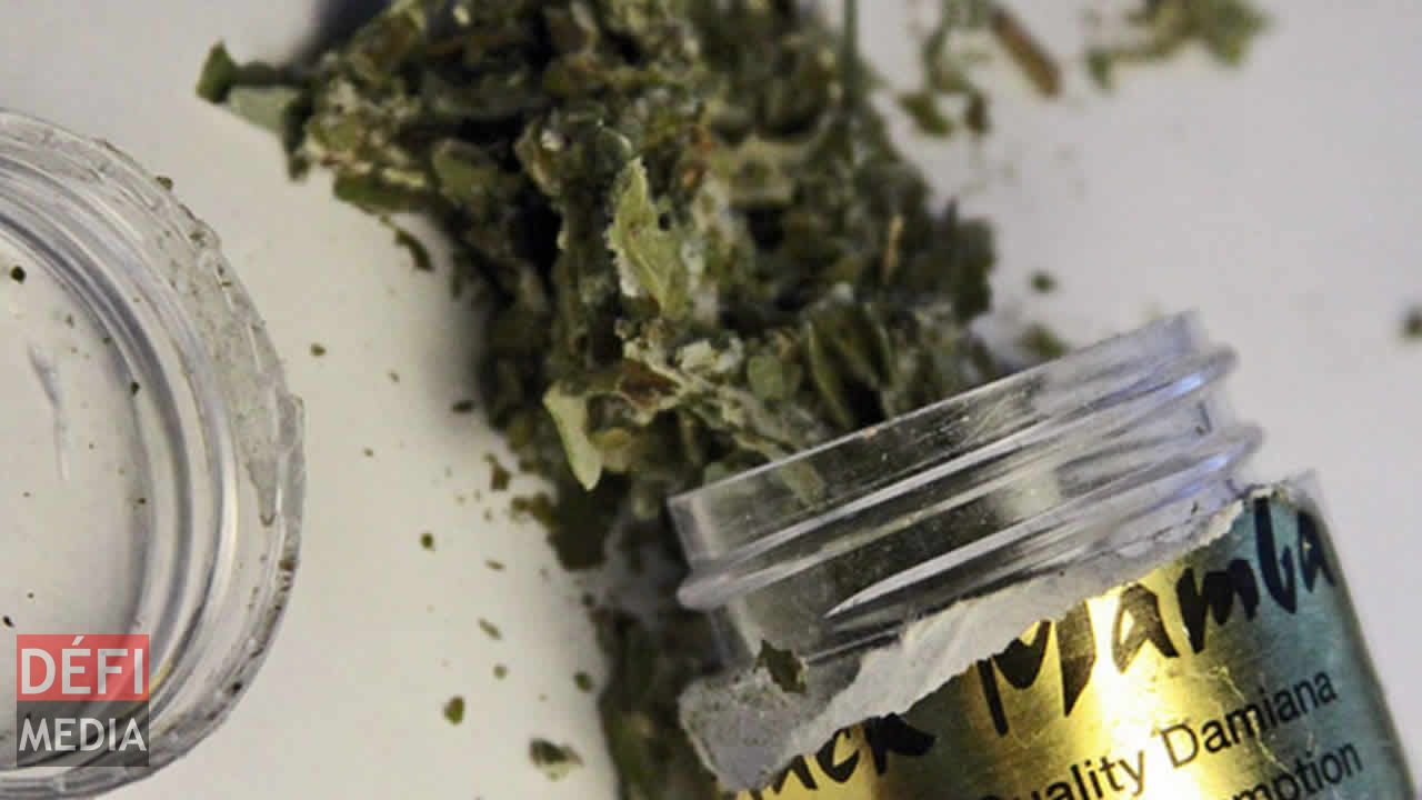 La consommation de ces substances nocives provoque la paranoïa, des hallucinations, voire des convulsions.