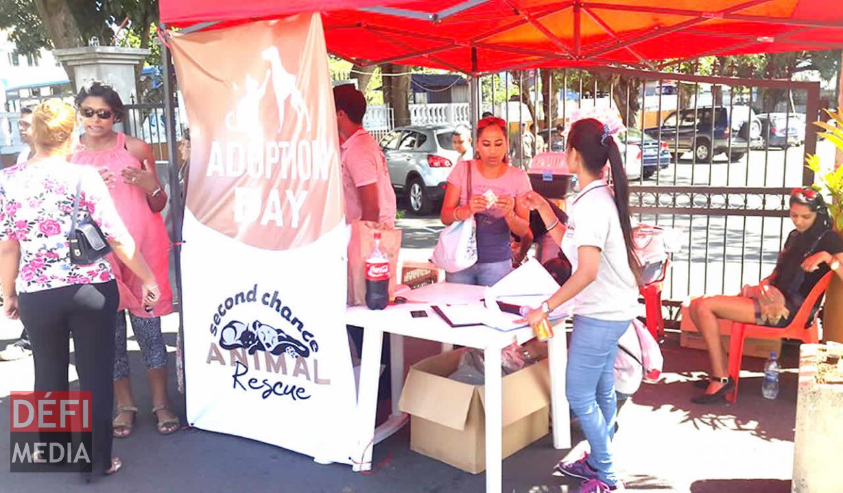 L’association offre gratuitement des animaux abandonnés aux Mauriciens.