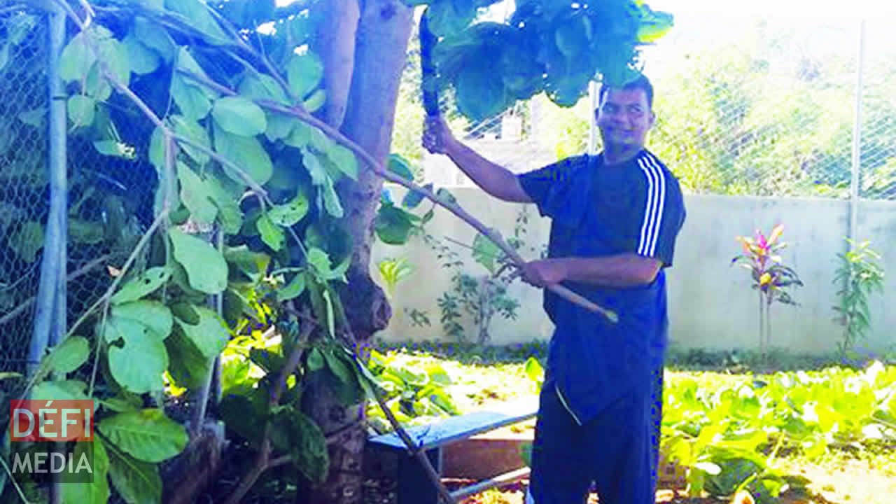 Le Sergent Imraan Mohamad Aullyar élaguant un arbre.