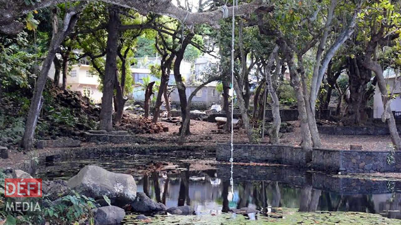 La corde à laquelle les enfants se balancent avant de se jeter à l’eau.