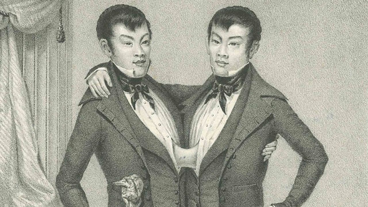 Siamois - Un Brin d’histoire - Eng et Chang : les premiers siamois répertoriés en 1811