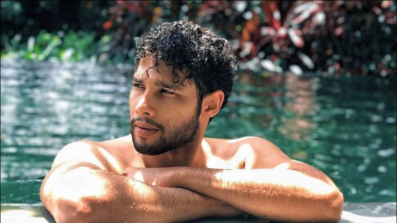 Siddhant Chaturvedi