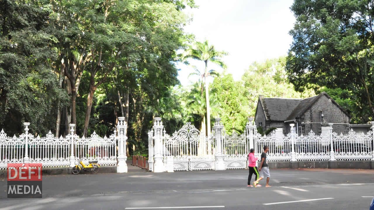 Le jardin botanique de Pamplemousses