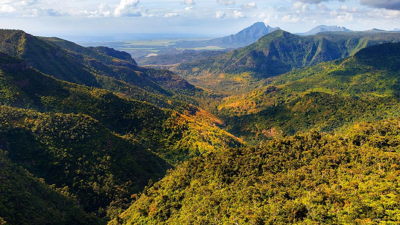 Le Parc National des Gorges de la Rivière Noire