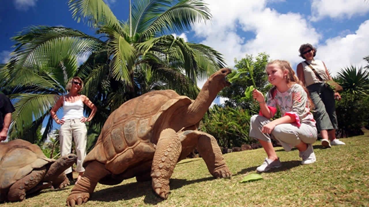 la vanille crocodile park