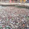 Environnement : la chasse au plastique est ouverte