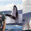 Torres Mungur : l’homme derrière les photos buzz d’une baleine
