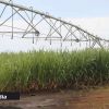 Eau : nouvelles conditions pour l’irrigation de la canne